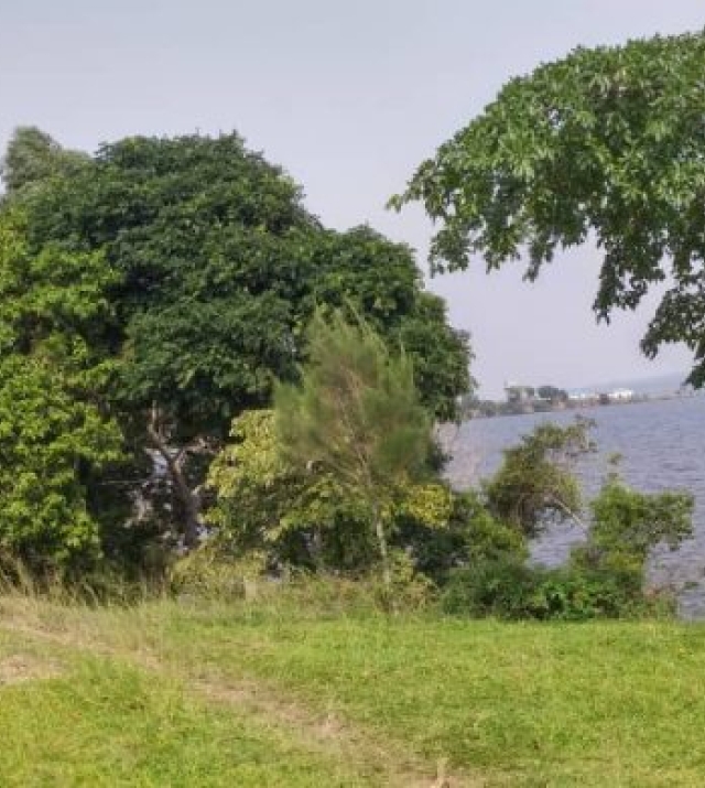 WhatsApp-Image-2022-06-13-at-11.41.23-AM-780x390-c 1.jpeg